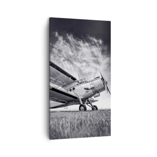 Schilderen op canvas - De gevleugelde zwerver - 45x80 cm