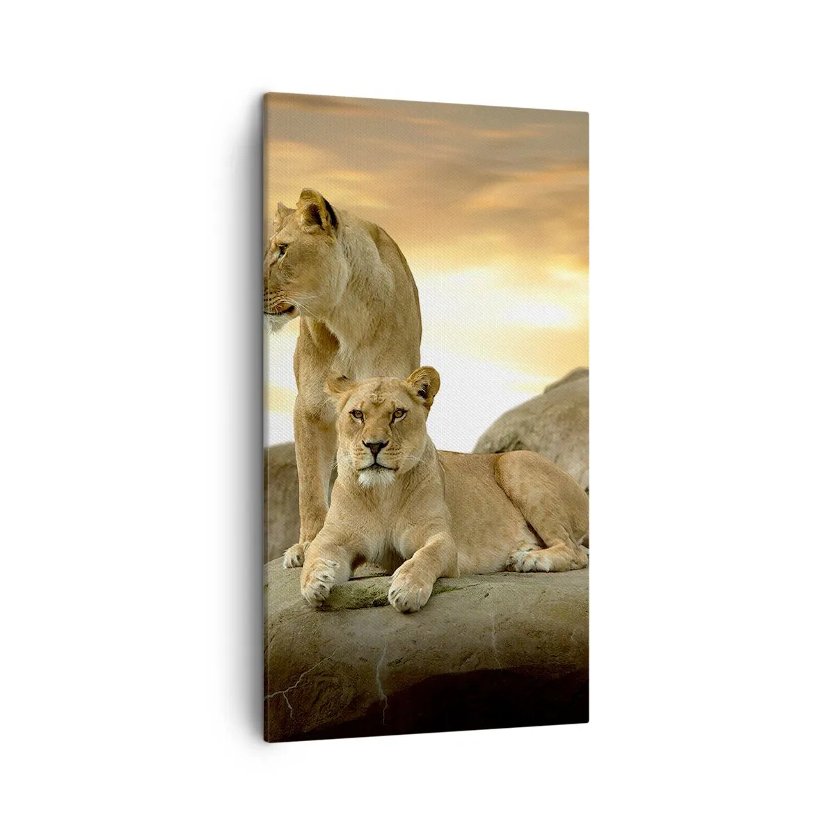 Schilderen op canvas - Koninklijke majesteit - 45x80 cm