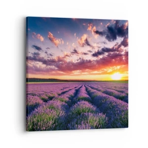 Schilderen op canvas - Lavendel wereld - 30x30 cm