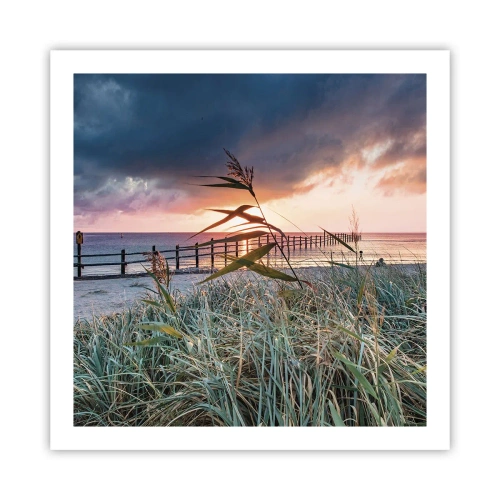 Poster - Het gaat niet met de wind mee - 60x60 cm