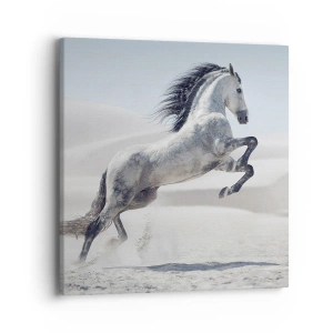 Schilderen op canvas - Arabische prins - 40x40 cm