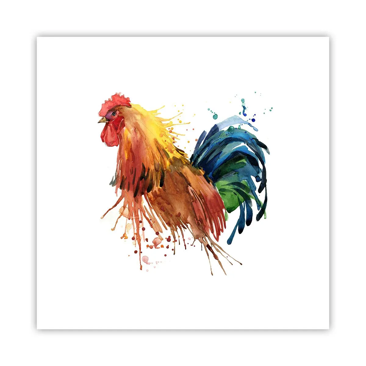 Poster - Koninklijk gewaad, koninklijke trots - 30x30 cm