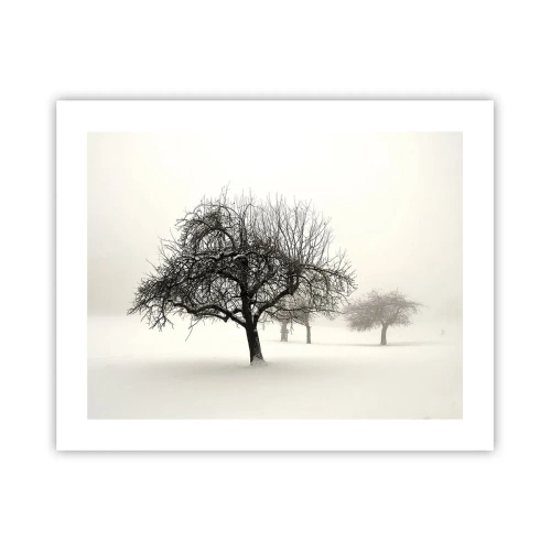 Poster - Winterslaap - 50x40 cm