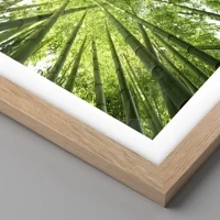 Licht eiken