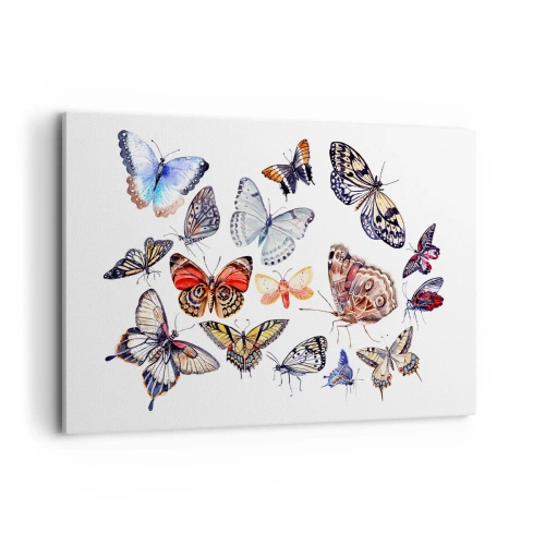 Schilderen op canvas - Kanten, kleurrijke zwerm - 120x80 cm