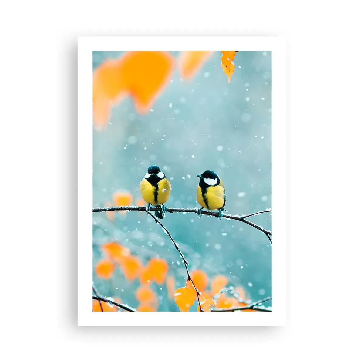 Poster - Vogelroddel - 50x70 cm