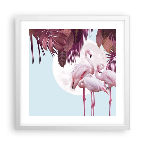 Poster in een witte lijst - Drie vogel genaden - 40x40 cm