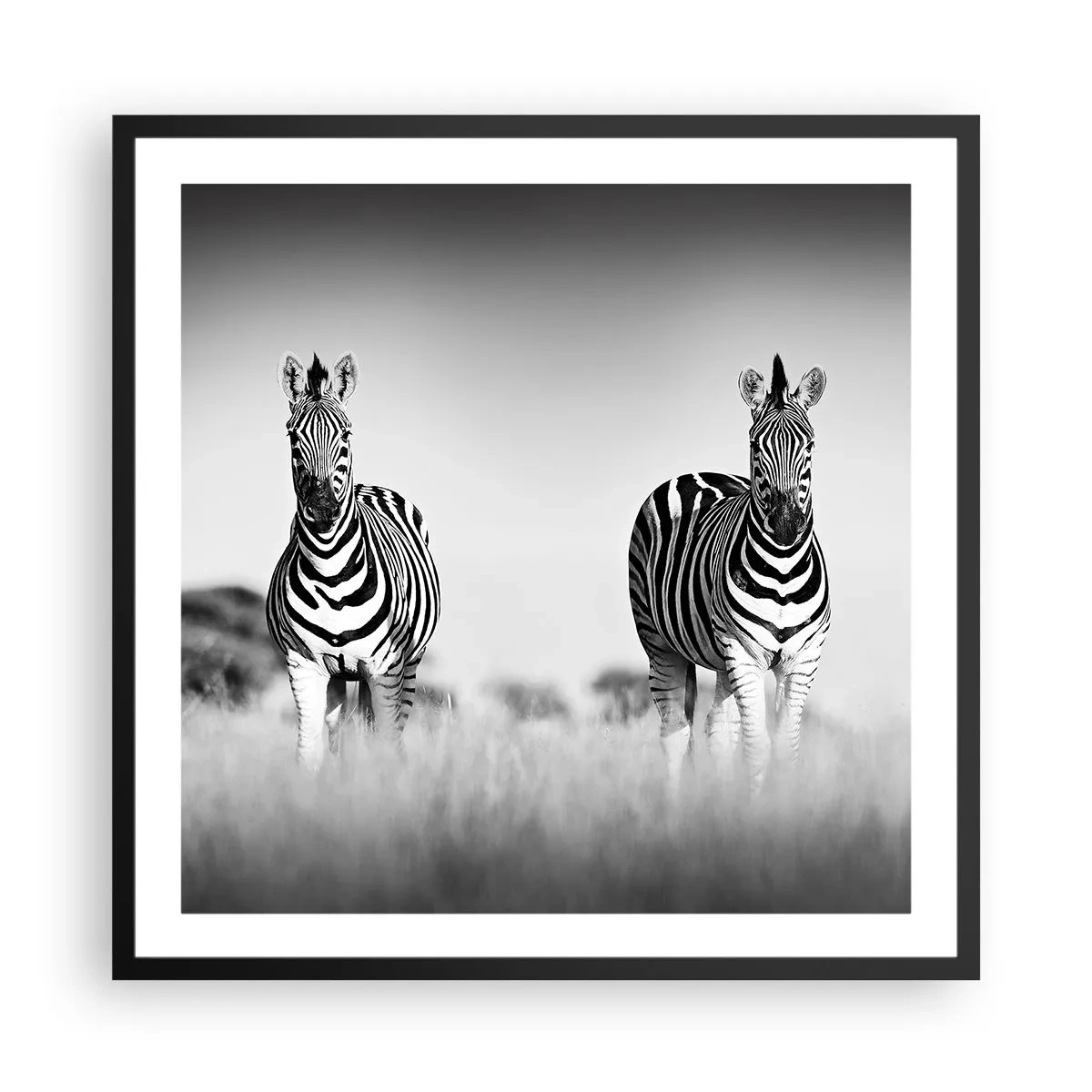 Poster in een zwarte lijst - Toch is de wereld zwart-wit - 60x60 cm