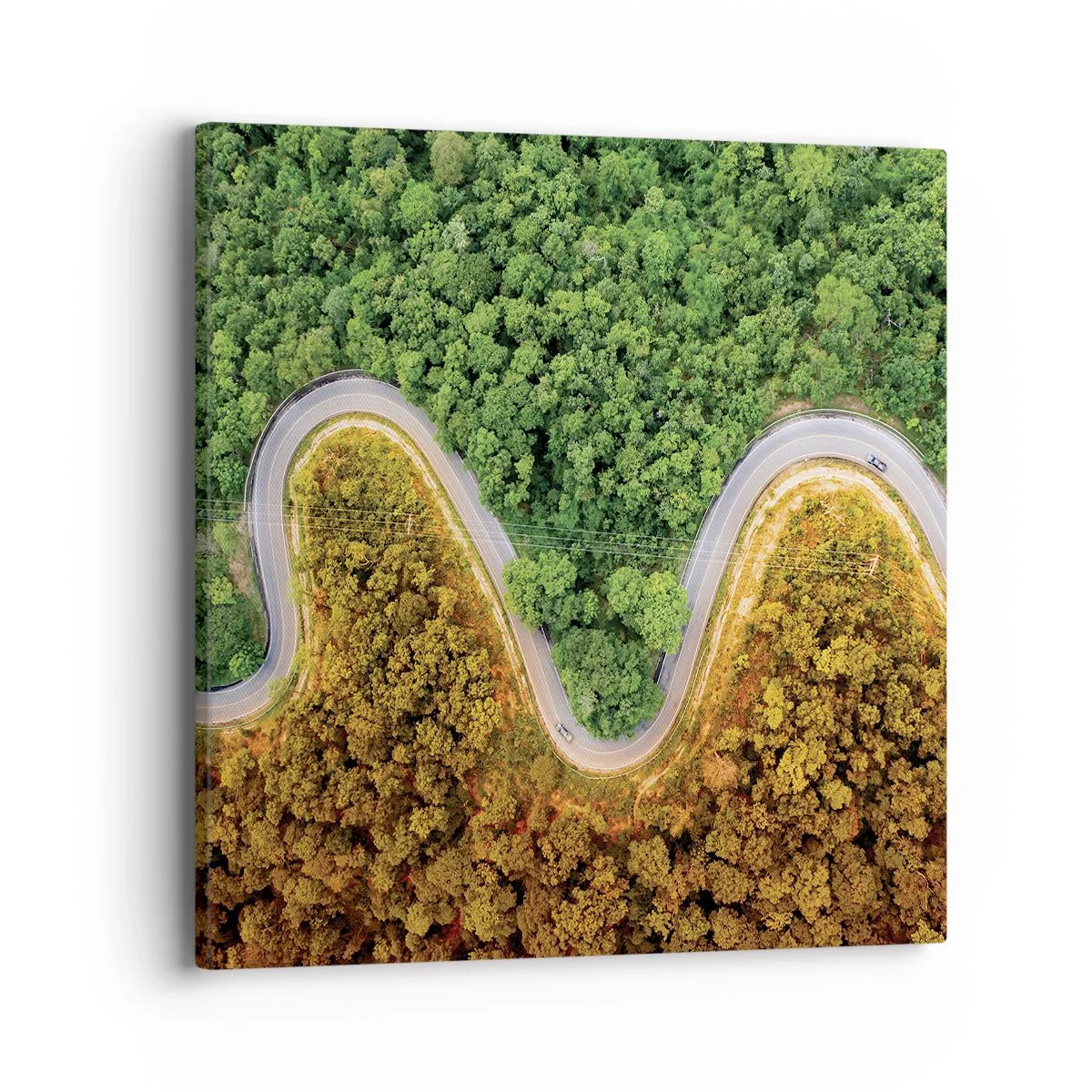 Schilderen op canvas - Grenzen en doorbraken - 40x40 cm
