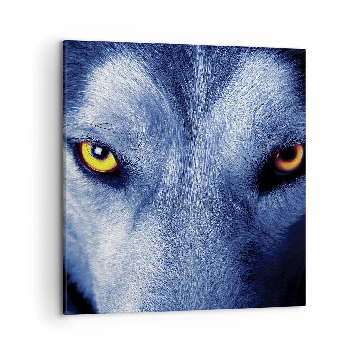 Schilderen op canvas - Betoverende look - 50x50 cm