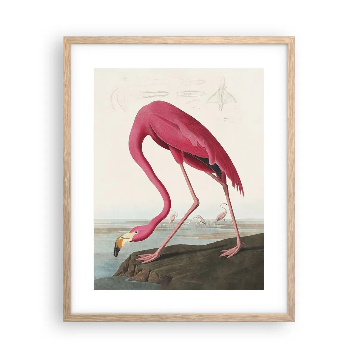 Een poster in een licht eiken lijst - Geweldige creatie - 40x50 cm