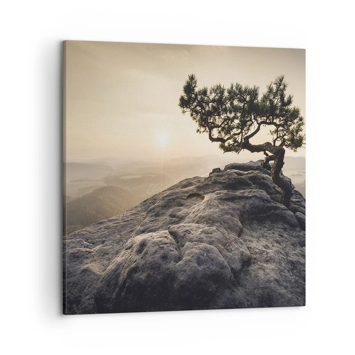 Schilderen op canvas - Het leven wint altijd - 50x50 cm