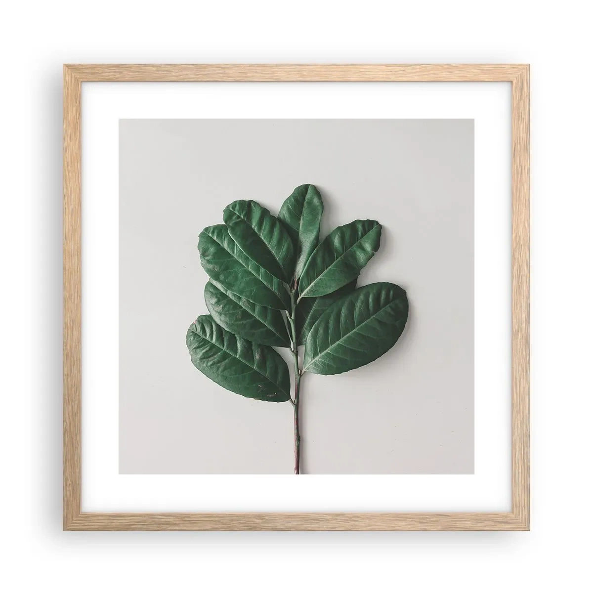 Een poster in een licht eiken lijst - Een tekening van de pure natuur - 40x40 cm