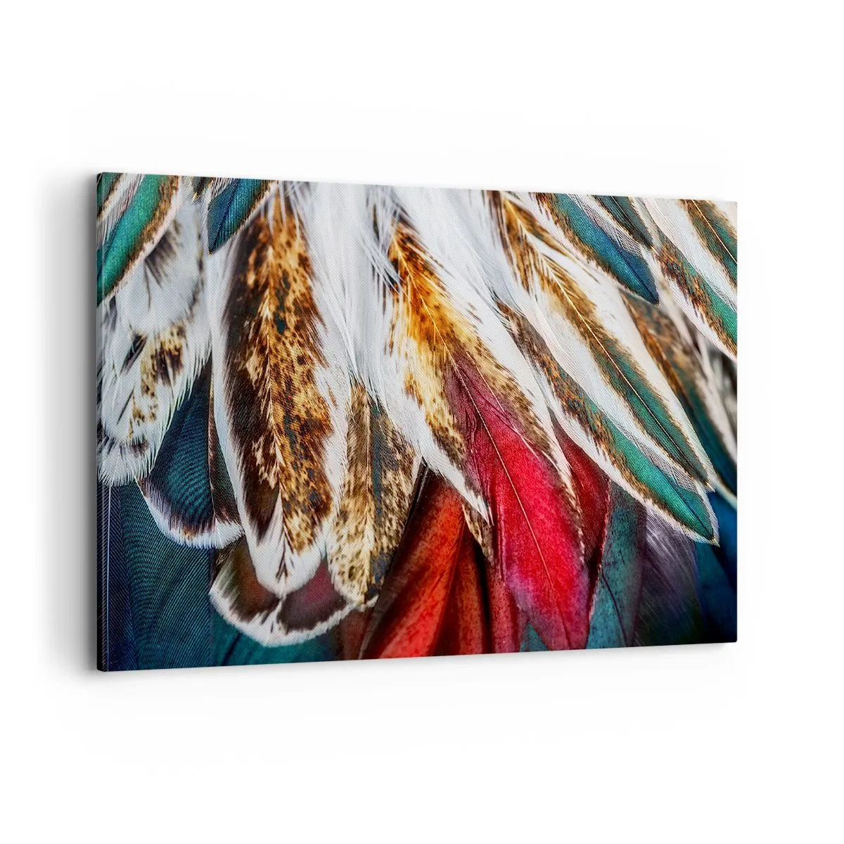 Schilderen op canvas - Geheimen van de vlucht - 100x70 cm