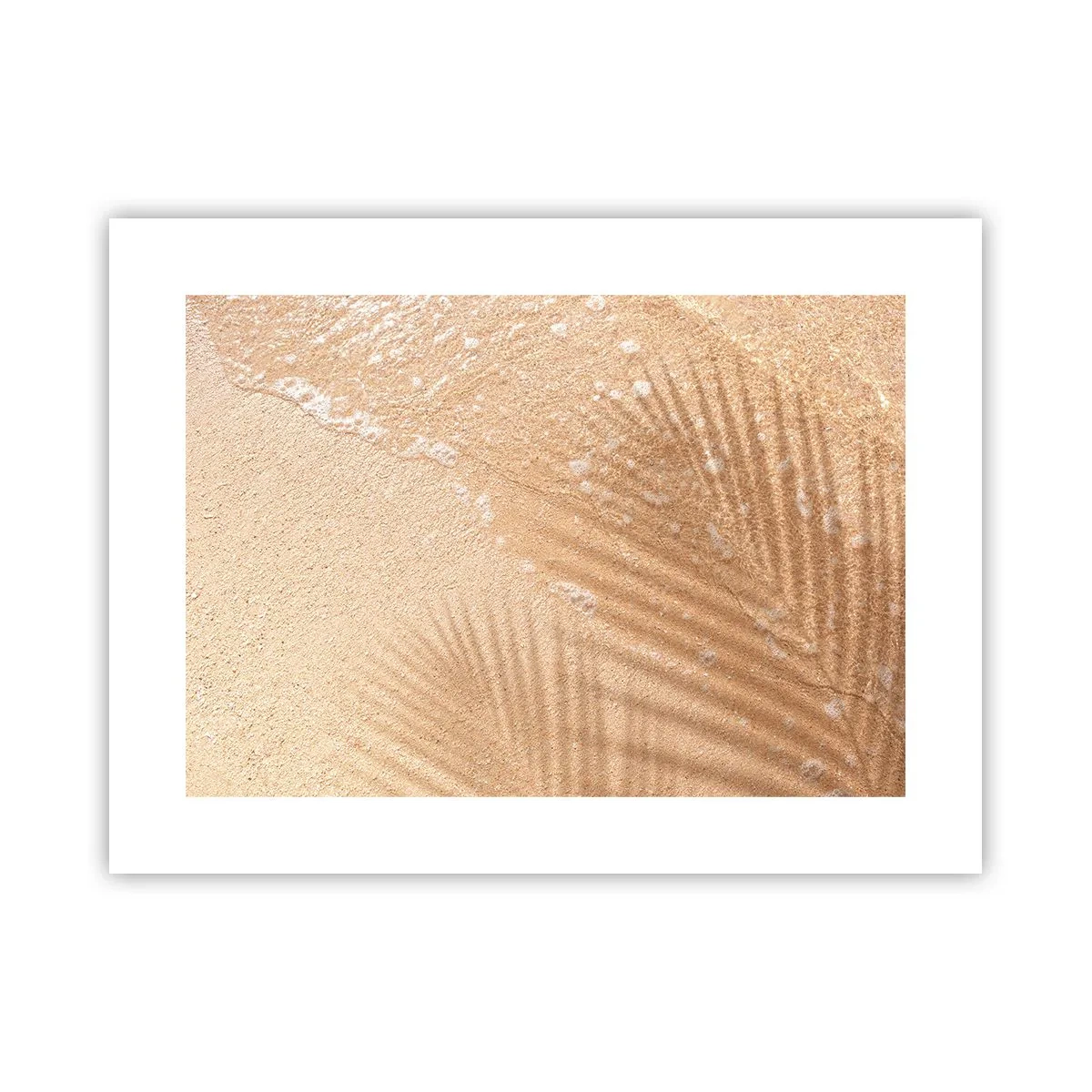 Poster - De schaduw van een hete zomer - 40x30 cm