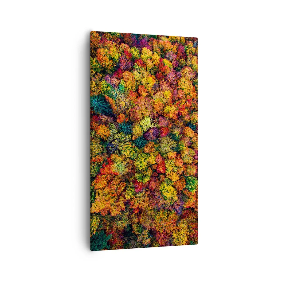 Schilderen op canvas - Boeket herfstbomen - 55x100 cm