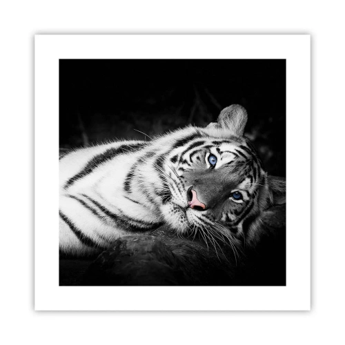 Poster - Wildheid en vrede - 40x40 cm