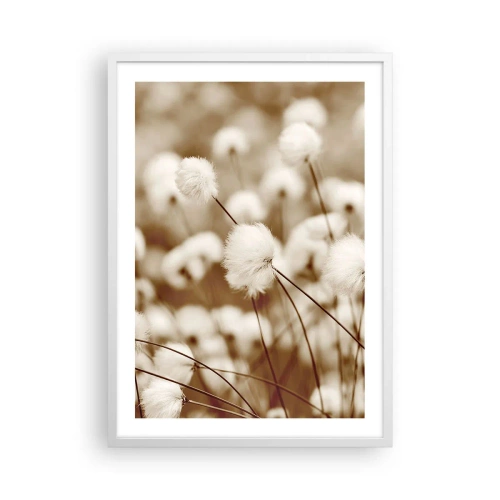 Poster in een witte lijst - Pluizig korenveld - 50x70 cm