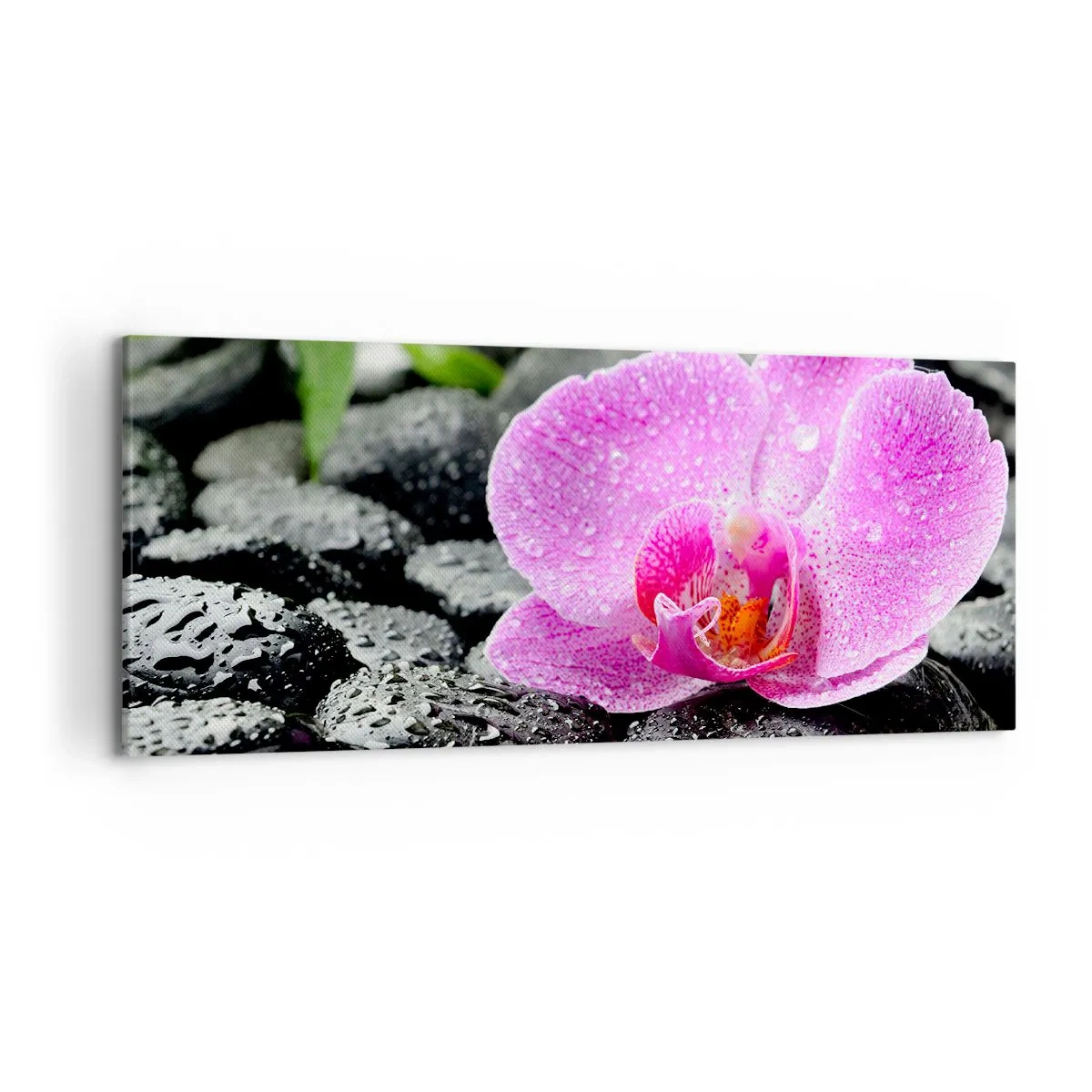 Schilderen op canvas - Als een open hart - 120x50 cm