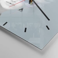 Dash schild