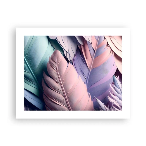 Poster - Vogel chique - 50x40 cm