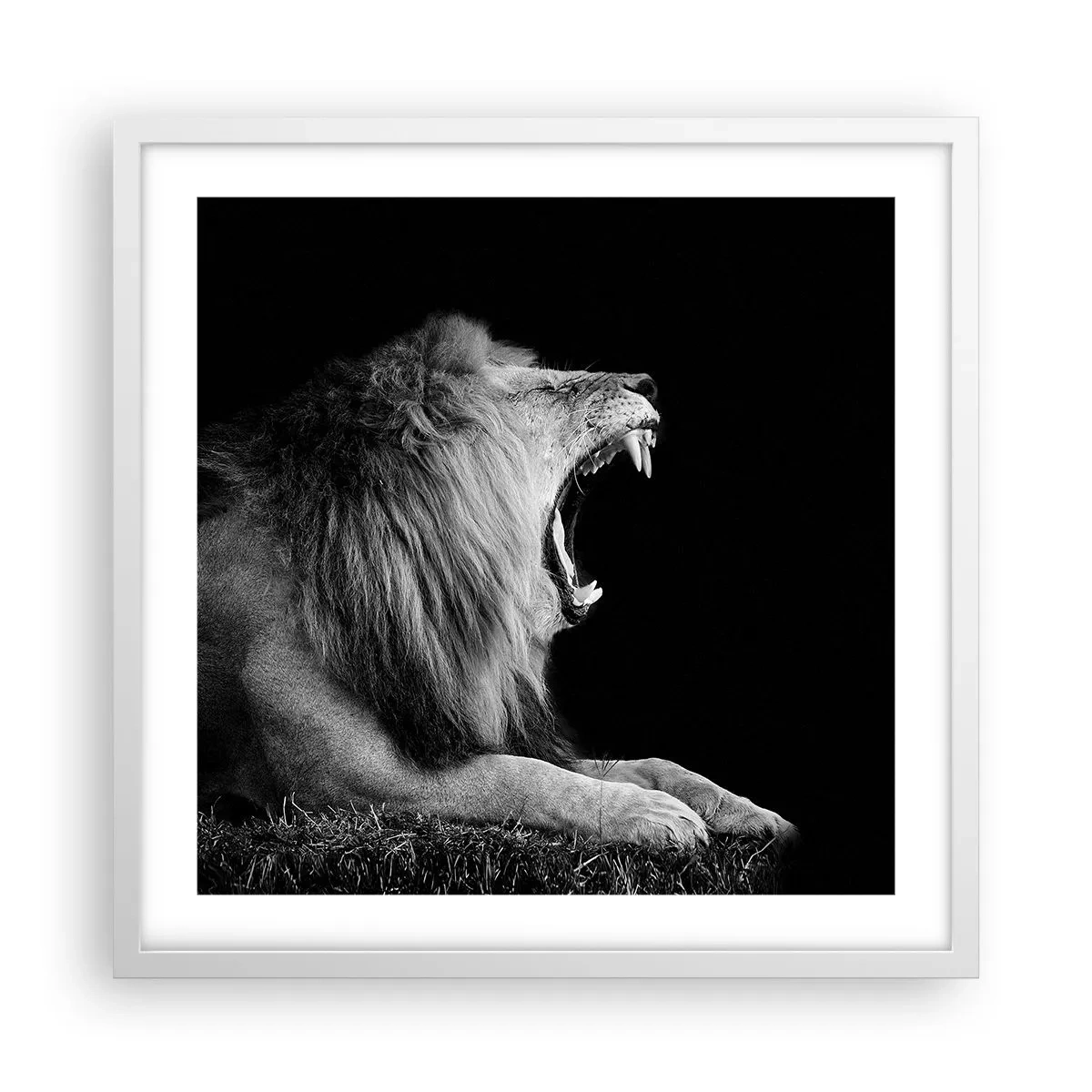 Poster in een witte lijst - Zonder enige twijfel - 50x50 cm