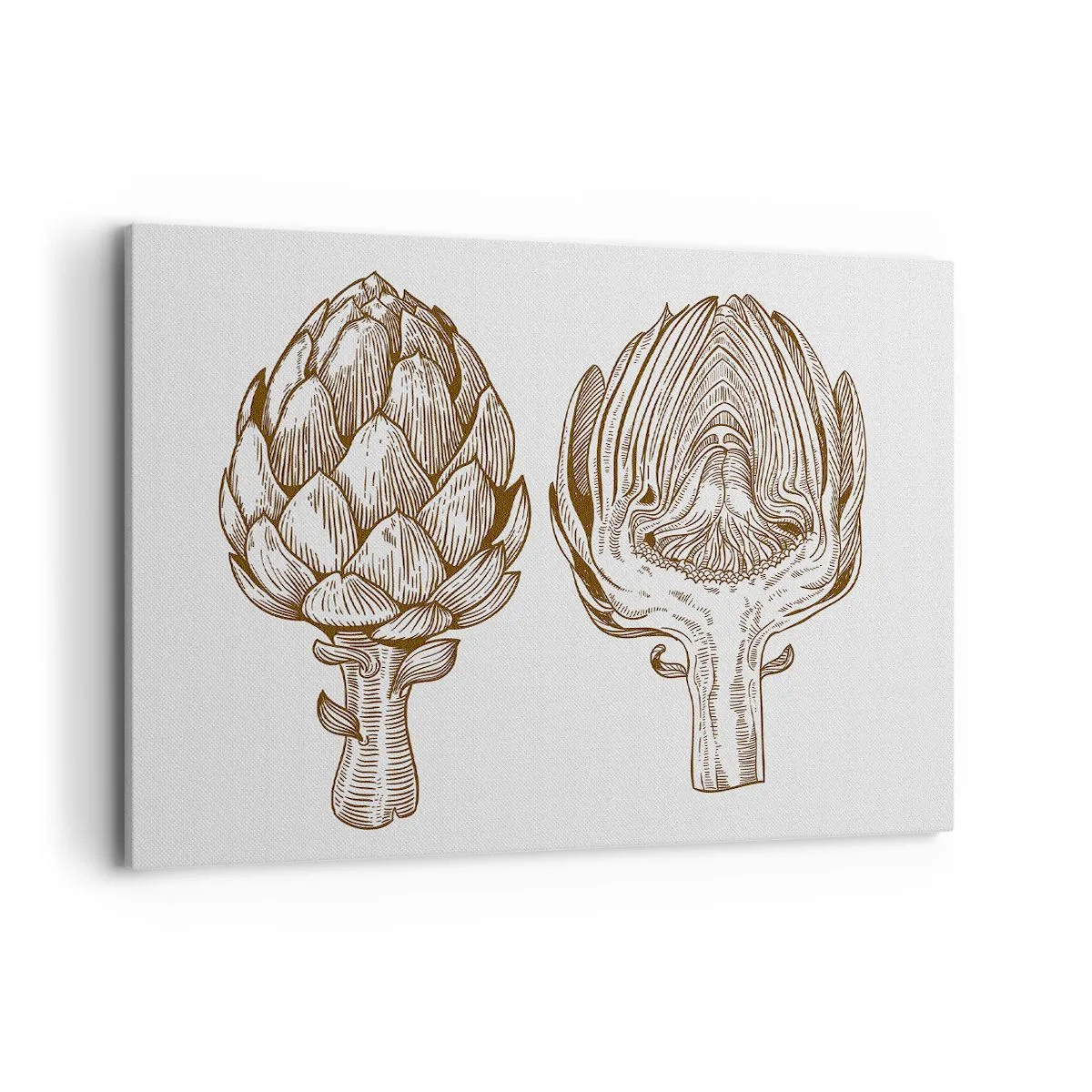 Schilderen op canvas - Anatomieles - 100x70 cm