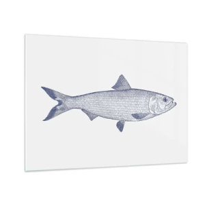 Schilderen op glas - Schets van een vis in vintage stijl op een lichte achtergrond - 70x50cm - Groeten uit de noordelijke zeeën - Moderne wanddecoratie voor woonkamer en slaapkamer ARTTOR