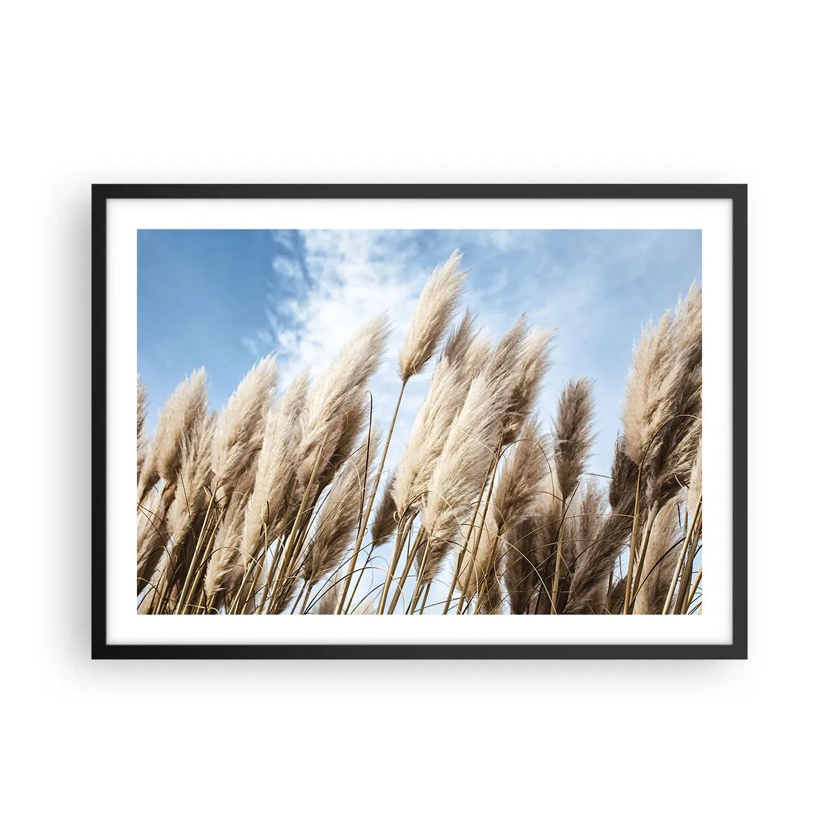 Poster in een zwarte lijst - Zonnige en winderige streling - 70x50 cm