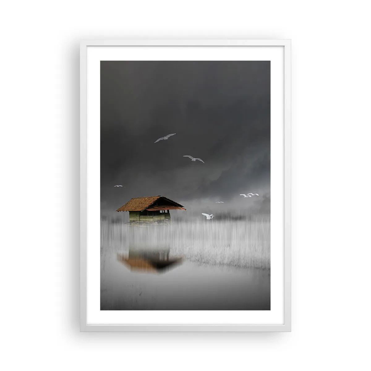 Poster in een witte lijst - Beschutting tegen regen - 50x70 cm