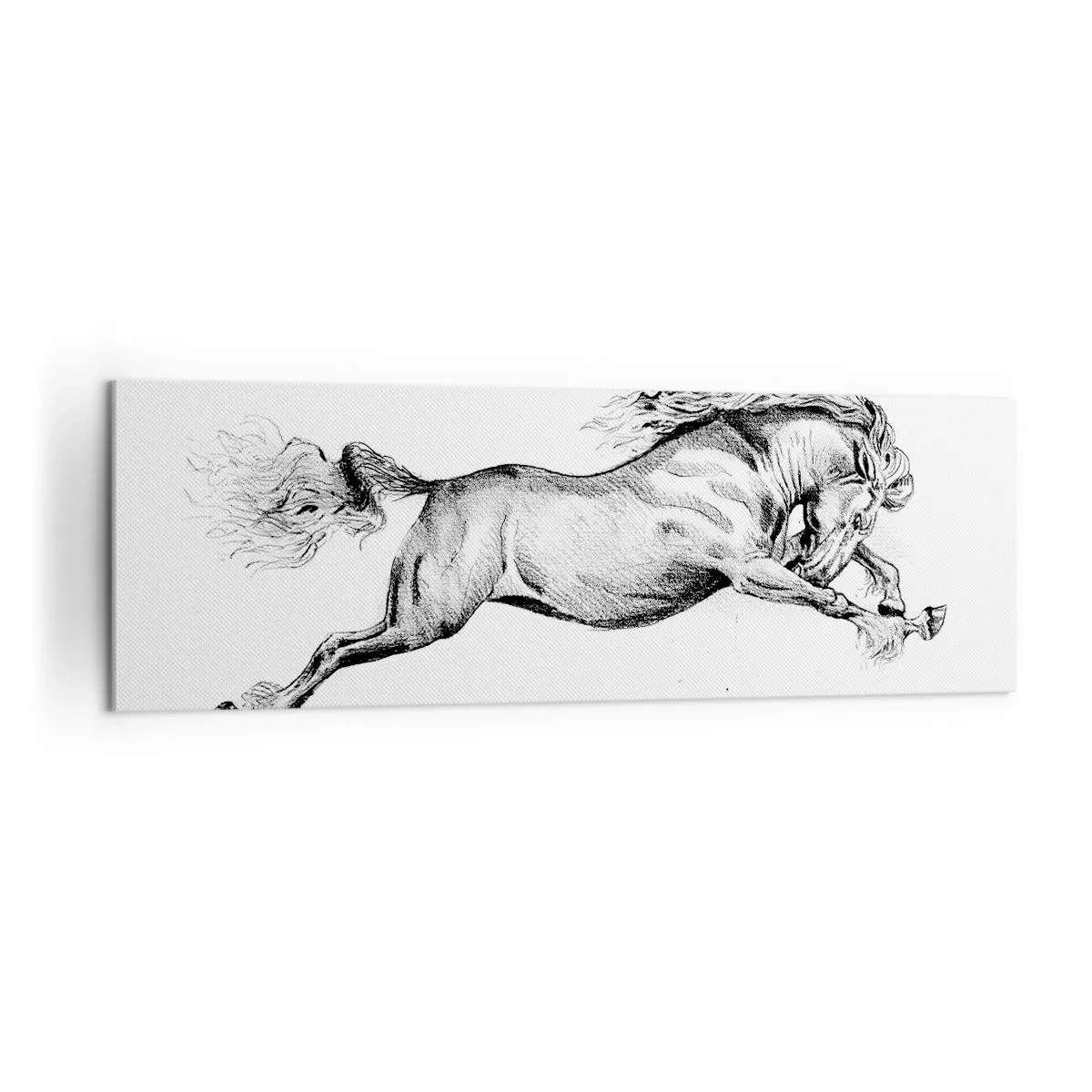 Schilderen op canvas - Vastgehouden in galop - 160x50 cm