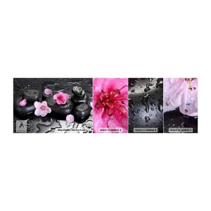 Fotobehang Monster Zelfklevend Deluxe Sticker - En de steen valt uit het hart - Bloemen, Azië, Spa - 100x30 cm