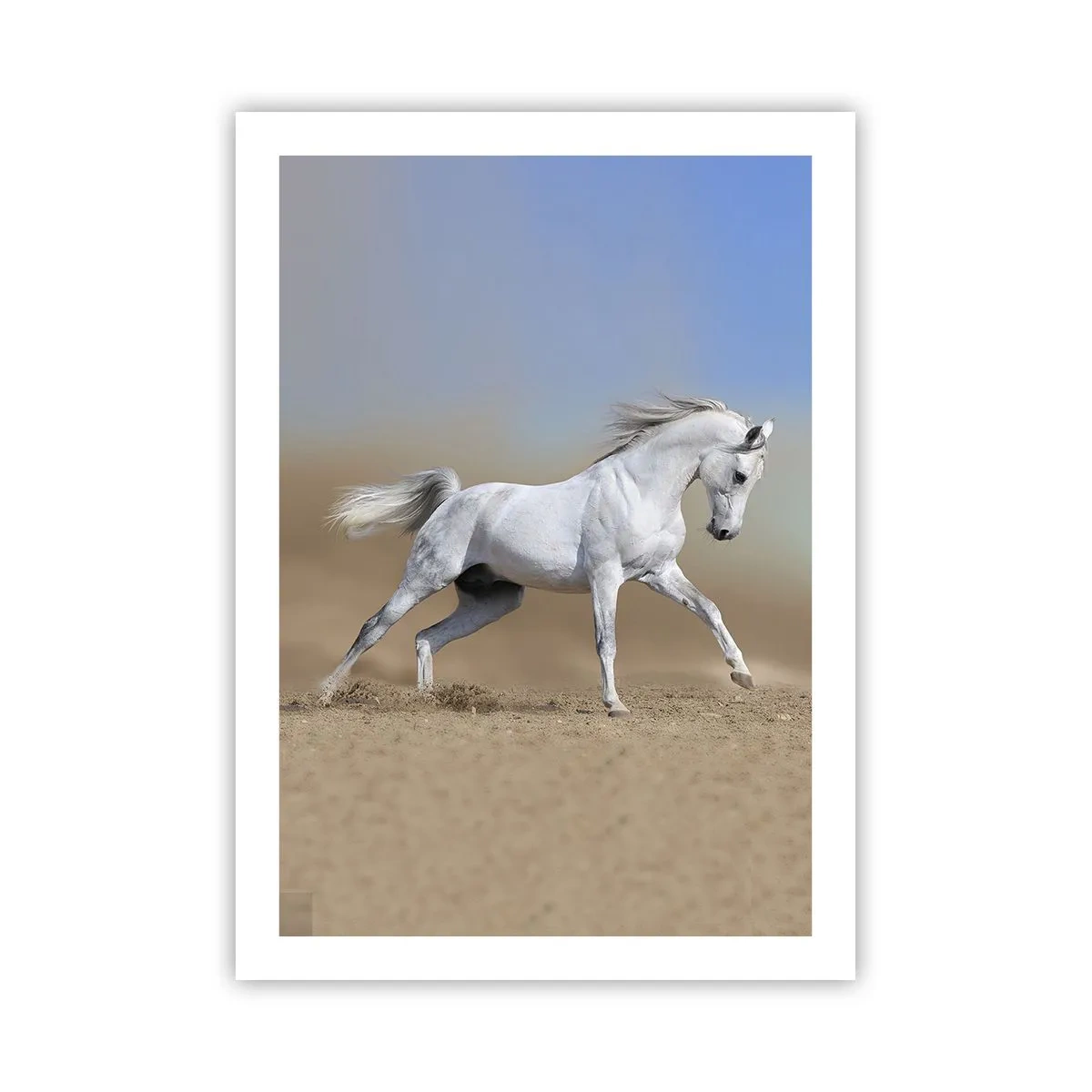 Poster - Het mooiste Arabische sprookje - 50x70 cm