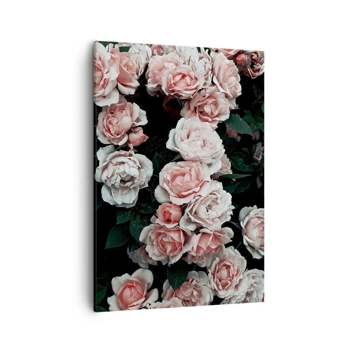 Schilderen op canvas - Rozen ensemble - 50x70 cm
