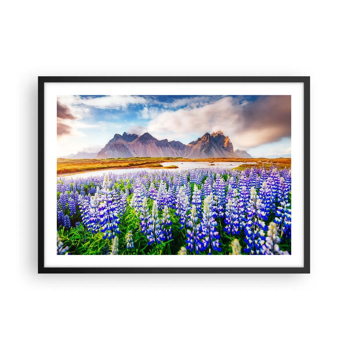 Poster in een zwarte lijst - Kracht en soberheid naast zachtheid - 70x50 cm