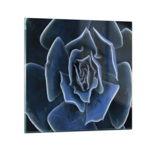 Schilderen op glas - Woestijn bloem - 70x70 cm