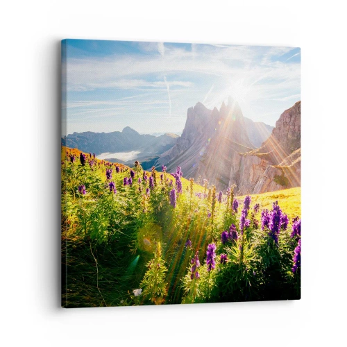 Schilderen op canvas - Het geheime leven van kruiden - 30x30 cm