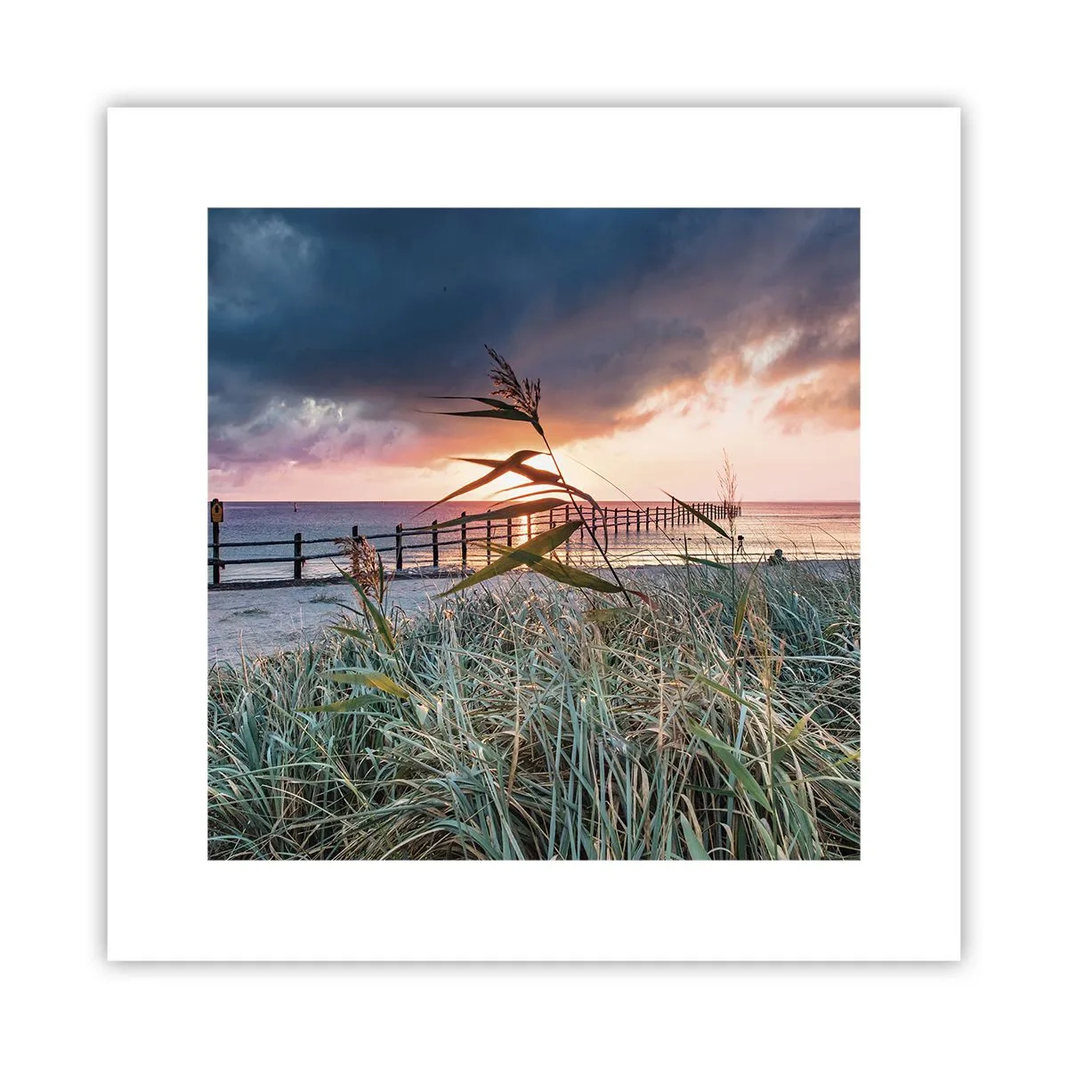 Poster - Het gaat niet met de wind mee - 30x30 cm