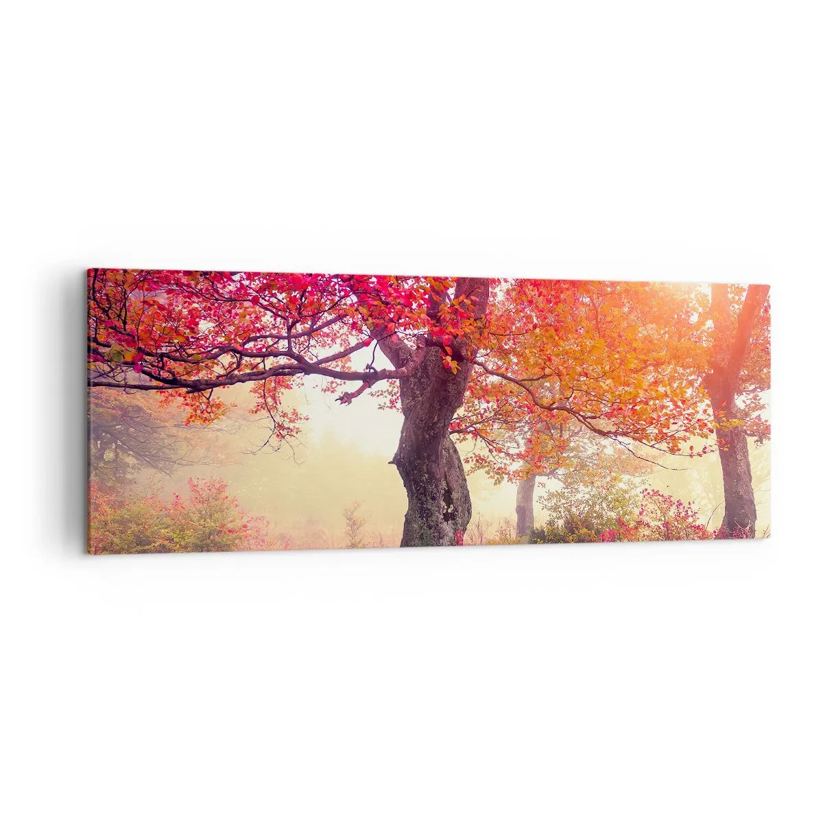 Schilderen op canvas - Bloeiende razernij - 140x50 cm