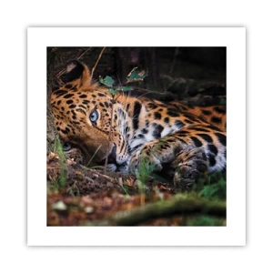 Poster - Geloof me - 40x40 cm