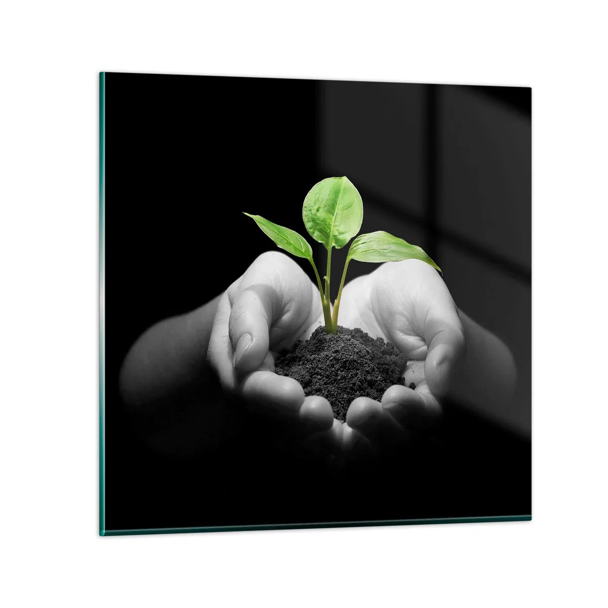 Schilderen op glas - Ik hou van de natuur, ik bescherm haar - 50x50 cm