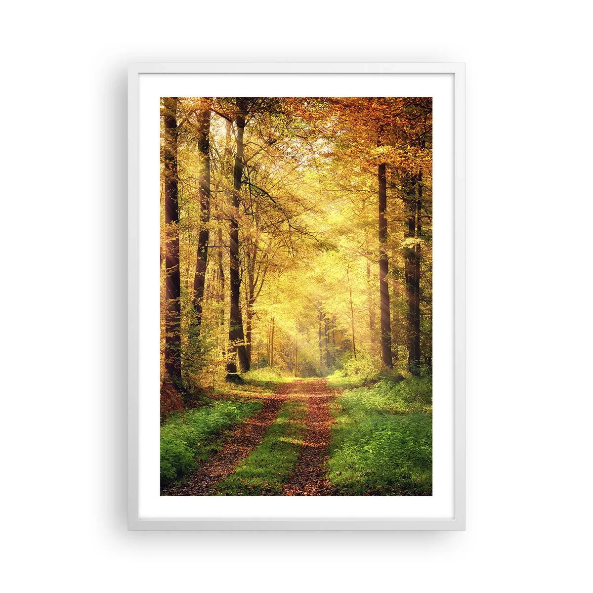 Poster in een witte lijst - Bos-gouden stilte - 50x70 cm