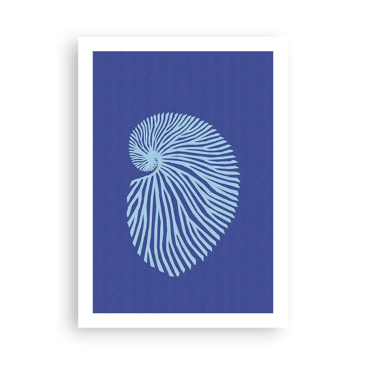 Poster - De geboorte van de schelp - 50x70 cm