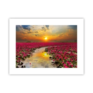 Poster - Het geheime leven van het meer - 40x30 cm