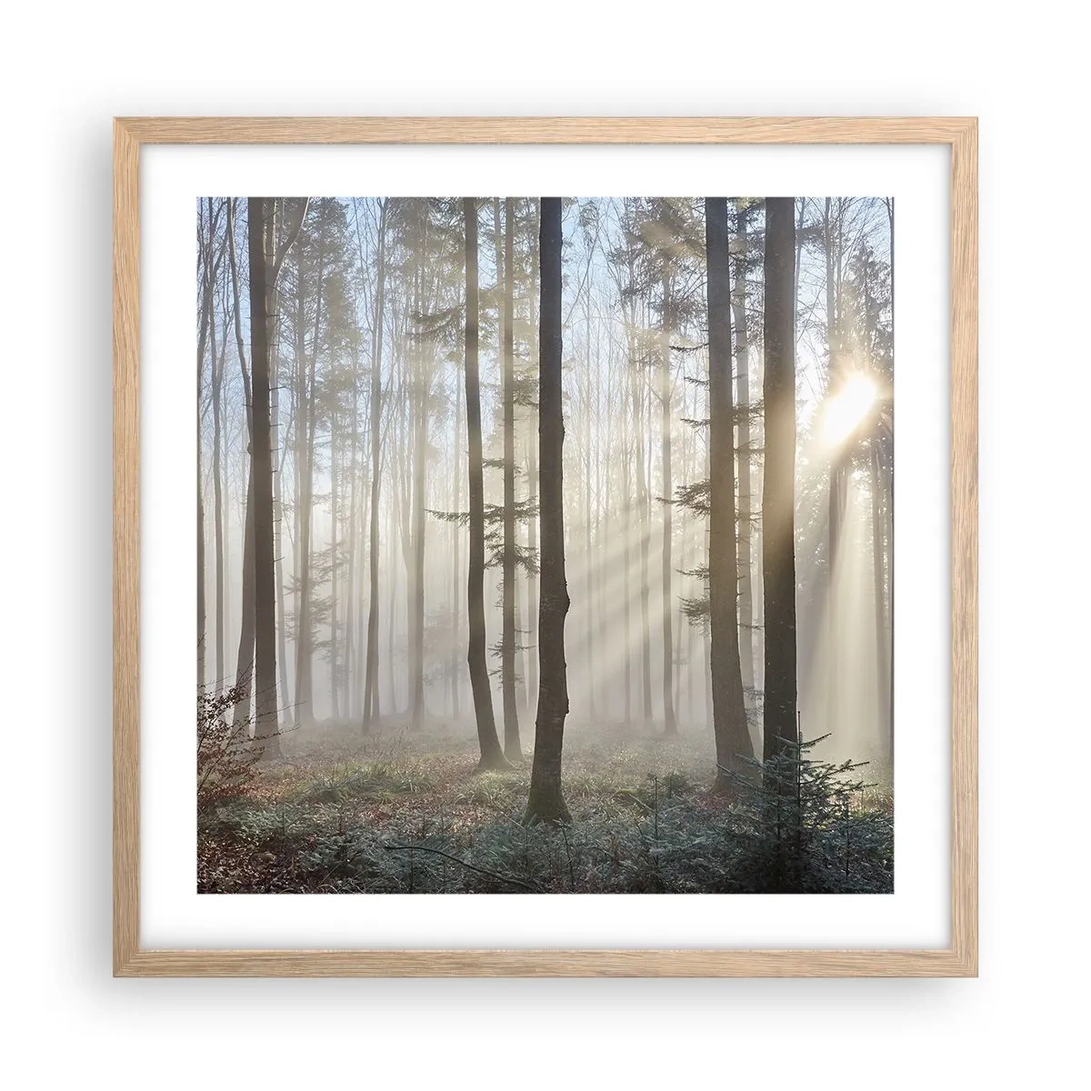 Een poster in een licht eiken lijst - De mist werd ook wakker - 50x50 cm