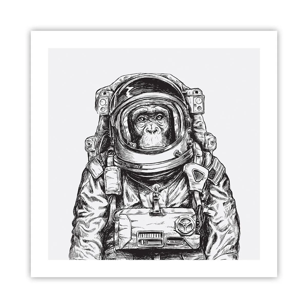 Poster - Alternatieve evolutie - 50x50 cm