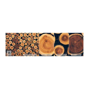 Fotobehang Monster Zelfklevend Deluxe Sticker - Hoe oud zie ik eruit? - Boomstam, Woud, Deel - 100x30 cm