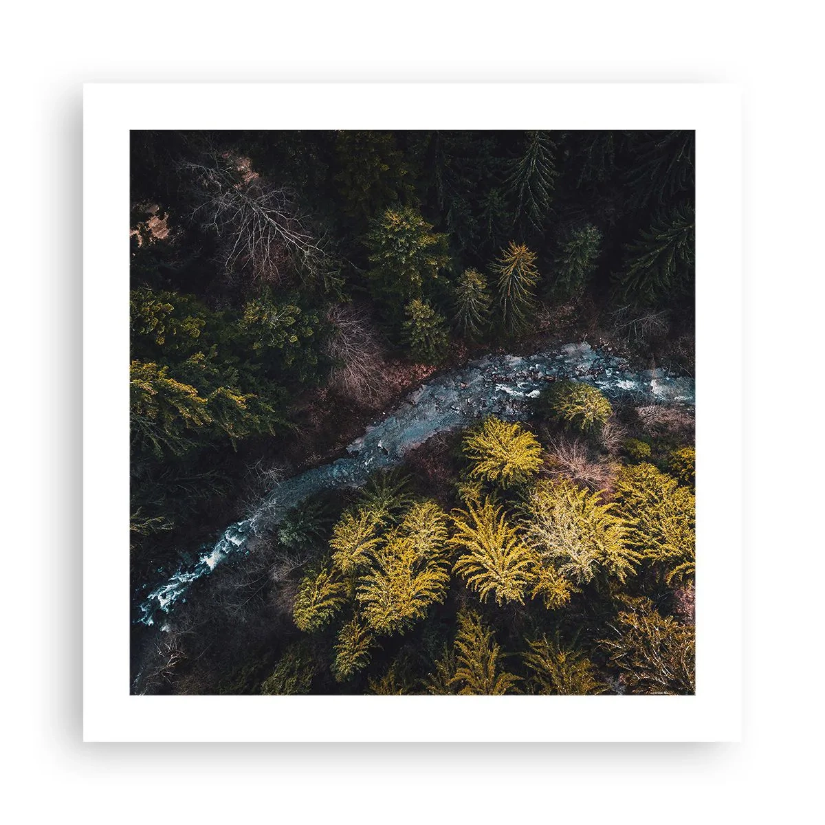 Poster - Snel, sneller en sneller - 50x50 cm