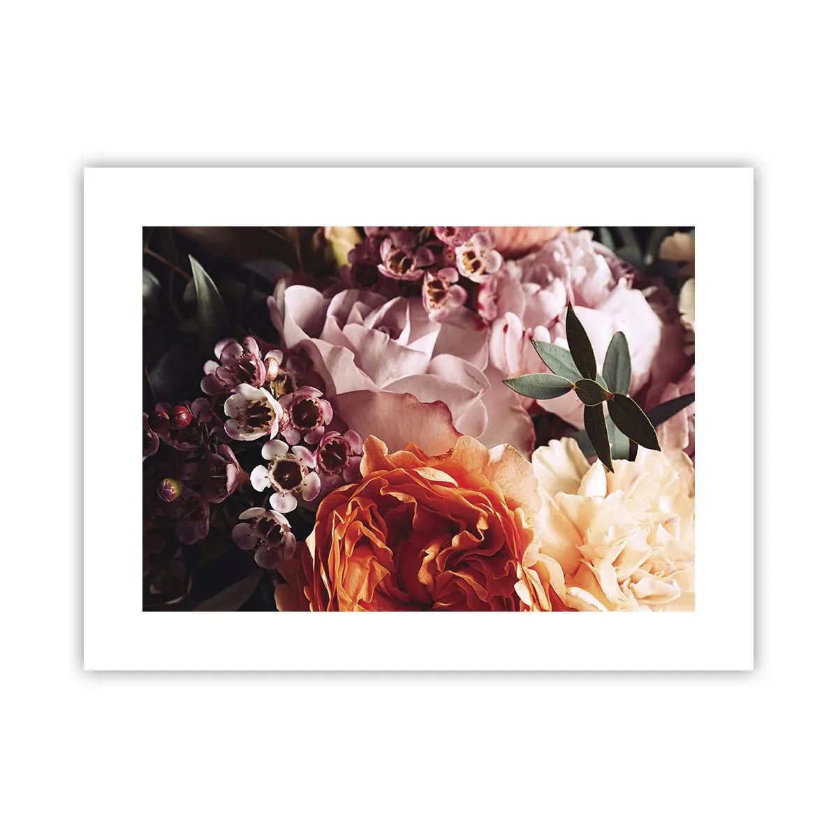 Poster - Gehuld in schoonheid - 40x30 cm