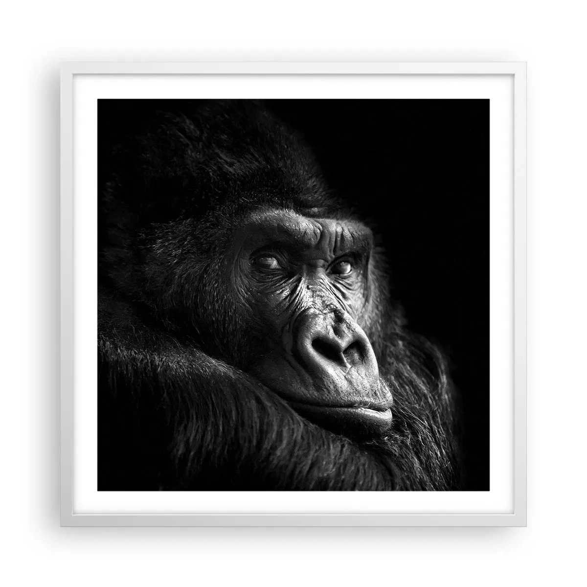 Poster in een witte lijst - En waar kijk je naar? - 60x60 cm